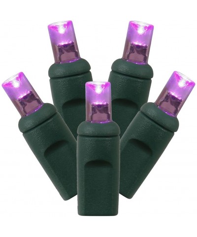 50 Light Wide Angle Purple Twinkle LED light set on Green Wire - Purple Led - CN11PRJVEVZ $23.08 Indoor String Lights