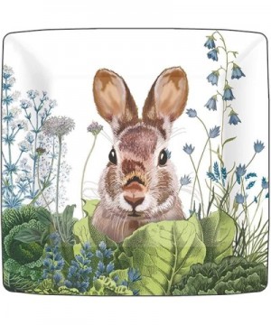Bunny Rabbit Themed Party Supplies - Bundle Includes Paper Dessert Plates & Napkins for 16 People - Chou Chou Bunny Design - ...