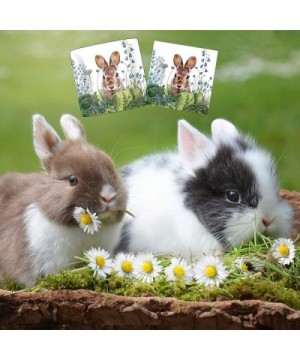 Bunny Rabbit Themed Party Supplies - Bundle Includes Paper Dessert Plates & Napkins for 16 People - Chou Chou Bunny Design - ...