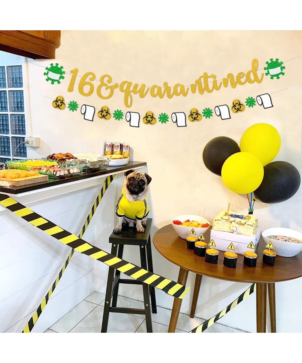 16 and Quarantined Birthday Banner 16th Birthday decoration Sweet16 and Quarantined Birthday Banner 16th Birthday decoration ...