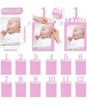 Baby 12 Months Milestone Pink Photo Banner - Newborn Monthly Baby Girl Shower 1st Birthday Party Backdrop Decorations - Pink ...