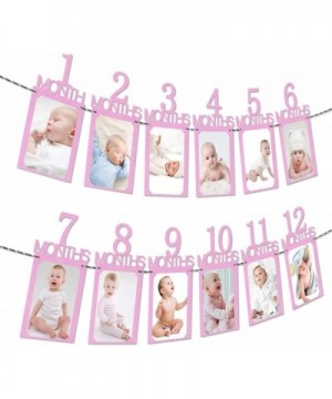 Baby 12 Months Milestone Pink Photo Banner - Newborn Monthly Baby Girl Shower 1st Birthday Party Backdrop Decorations - Pink ...