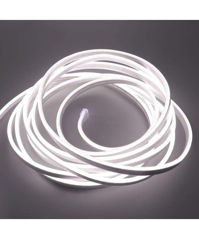 LED Strip Lights- LED Neon Light Rope- 6000K Daylight White Outdoor Flexible Light- DC 12V 16.4 Ft/5m 2835 600 LEDs Silicone ...