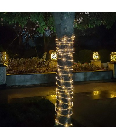 LED Rope Lights- Outdoor String Lights 8 Modes Waterproof Light String- Indoor Outdoor Firefly Lights Christmas String Lights...