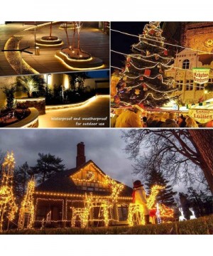 LED Rope Lights- Outdoor String Lights 8 Modes Waterproof Light String- Indoor Outdoor Firefly Lights Christmas String Lights...