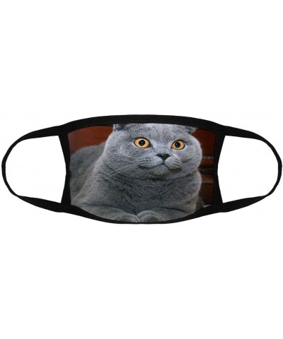Scottish Fold Cat/Reusable Face Mouth Scarf Cover Protection №SW140232 - Scottish Fold Cat N17 - CO19H2ND2U5 $9.74 Favors