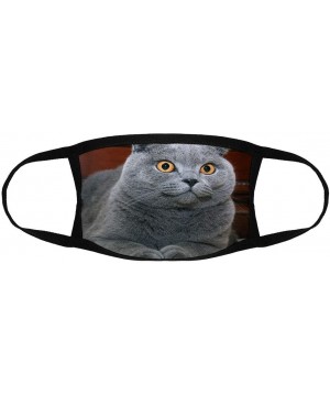 Scottish Fold Cat/Reusable Face Mouth Scarf Cover Protection №SW140232 - Scottish Fold Cat N17 - CO19H2ND2U5 $9.74 Favors