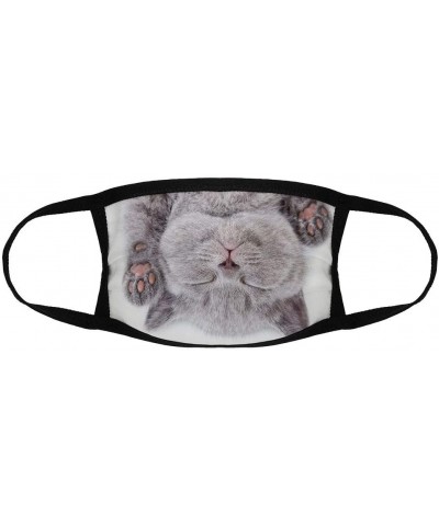 British Kitten On/Reusable Face Mouth Scarf Cover Protection №SW83620 - British Kitten on White Background N02 - CT19GU63AEN ...