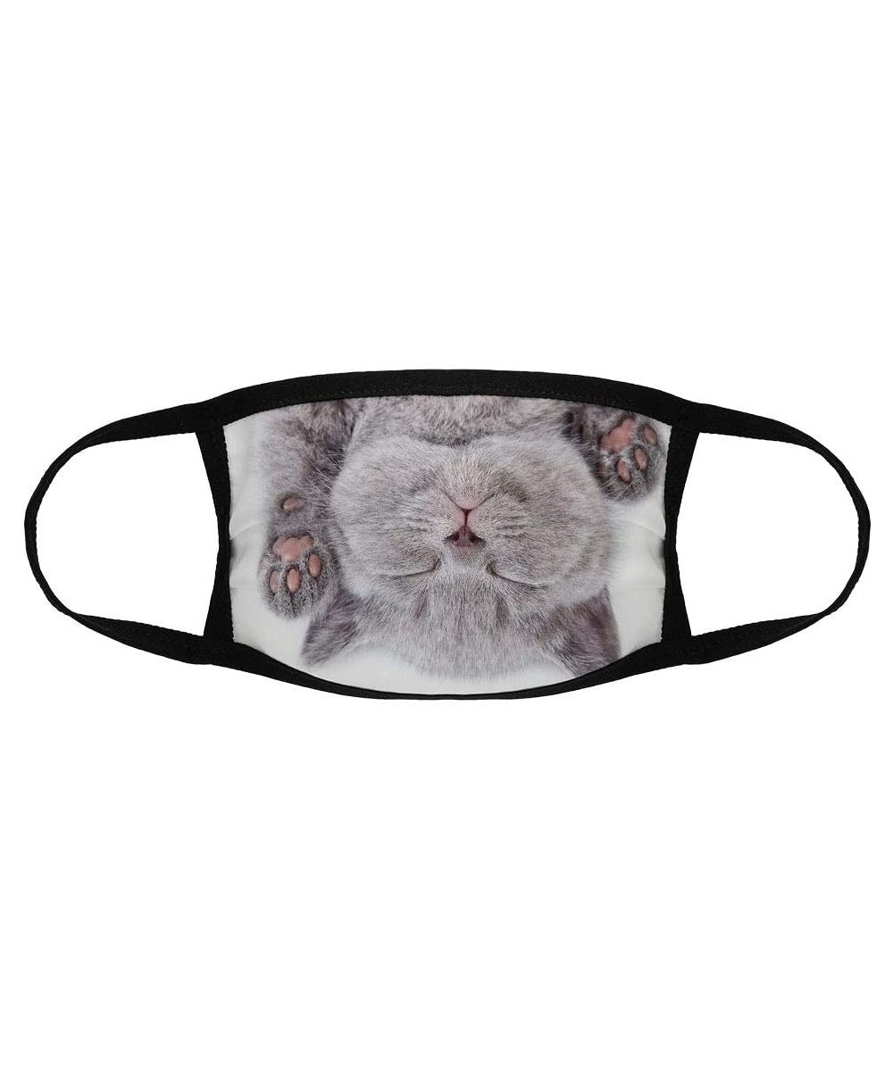 British Kitten On/Reusable Face Mouth Scarf Cover Protection №SW83620 - British Kitten on White Background N02 - CT19GU63AEN ...