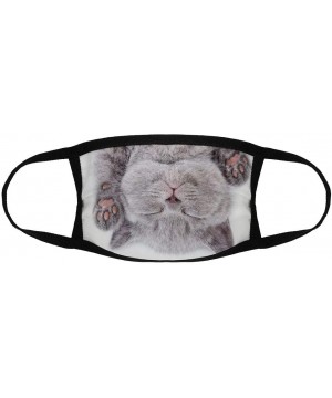 British Kitten On/Reusable Face Mouth Scarf Cover Protection №SW83620 - British Kitten on White Background N02 - CT19GU63AEN ...