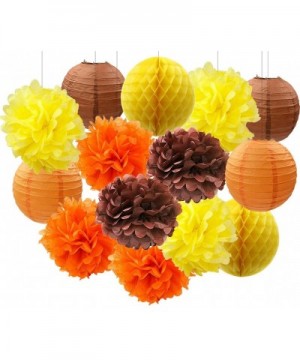 Thanksgiving Decorations Fall Party Decorations Autumn Decorations Harvest Decorations Hanging Tissue Paper Pom Poms Flowers ...