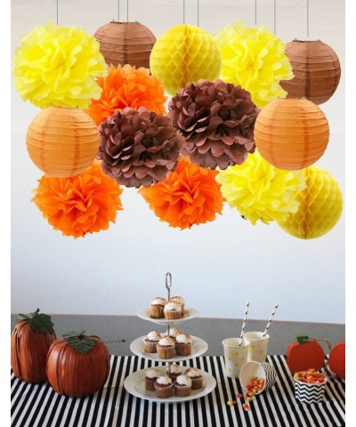 Thanksgiving Decorations Fall Party Decorations Autumn Decorations Harvest Decorations Hanging Tissue Paper Pom Poms Flowers ...