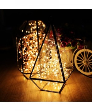 Dimmable LED String Lights Plug in- 99 FT 300 LED Warm White Fairy Lights with Remote- Indoor/Outdoor Copper Wire Christmas D...