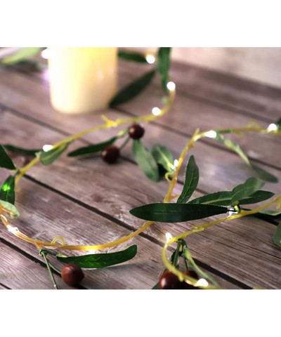 Green Olive Branch Garland String Lights 10FT 40 LED Battery USB Operated Lighted Twig Vine with Timer for Christmas Thanksgi...