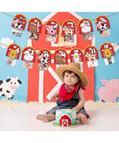 Farm Animal 1st Birthday Photo Banner Newborn to 12 Month Display Milestone Garland for Barnyard Theme Birthday Party Photogr...