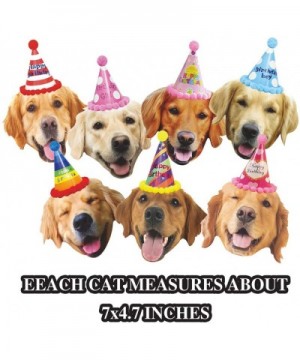 Birthday Golden Retriever Garland- Funny Dogs Face Portrait Birthday Banner- Bday Bunting Decorations - Golden Retriever Garl...