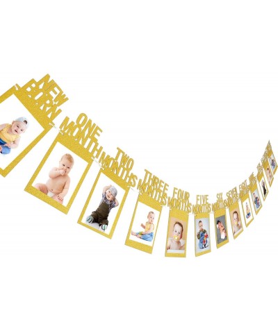 Newborn to 12 Month Baby Photo Banner 1st Birthday Bunting Garland First Birthday Party Decor- Great Baby Shower (Gold) - Gol...