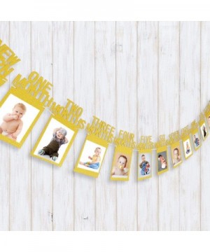 Newborn to 12 Month Baby Photo Banner 1st Birthday Bunting Garland First Birthday Party Decor- Great Baby Shower (Gold) - Gol...