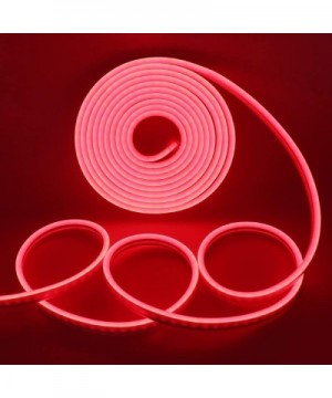 LED Strip Lights- LED Neon Light Rope- Outdoor Flexible Light- DC 12V 16.4 Ft/5m 2835 600 LEDs Silicone Tape Light for Home- ...