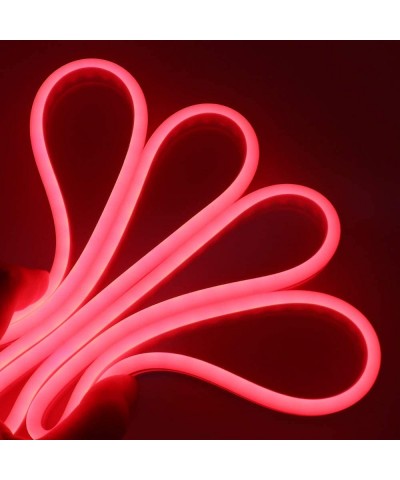 LED Strip Lights- LED Neon Light Rope- Outdoor Flexible Light- DC 12V 16.4 Ft/5m 2835 600 LEDs Silicone Tape Light for Home- ...