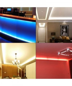 LED Strip Lights- LED Neon Light Rope- Outdoor Flexible Light- DC 12V 16.4 Ft/5m 2835 600 LEDs Silicone Tape Light for Home- ...