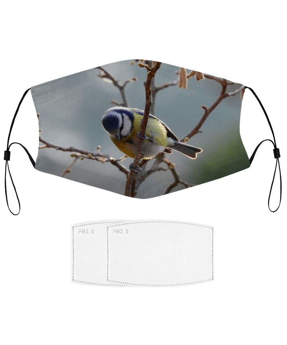 Bluetit - Unisex Mouth Face Cover Scarf Balaclava Dust Reusable and Washable Fashion Cute Adjustable Protection Cloth Shields...