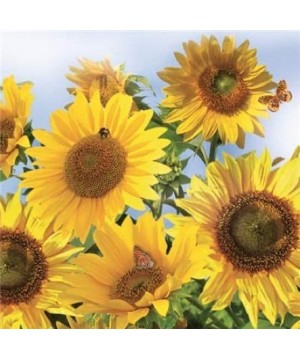 Sunflowers in The Sky Paper Luncheon Napkins 40pcs Summer- Thanksgiving Table Decoration - CO195W9L9YY $15.90 Tableware