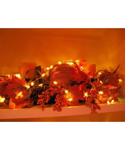 Pumpkin String Lights Battery Powered Lights 10ft 40 LEDs Halloween Decorations Lights with Remote & Timer Silver Coated Copp...