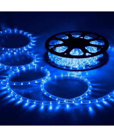 50ft Blue 2 Wire LED Rope Light Christmas Halloween Home Holiday Party Disco Restaurant Cafe Decor - C211MBWUKNJ $33.17 Rope ...