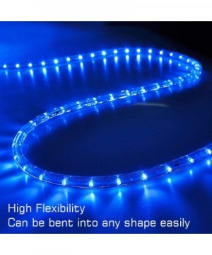 50ft Blue 2 Wire LED Rope Light Christmas Halloween Home Holiday Party Disco Restaurant Cafe Decor - C211MBWUKNJ $33.17 Rope ...