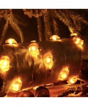Pumpkin String Lights Battery Powered Lights 10ft 40 LEDs Halloween Decorations Lights with Remote & Timer Silver Coated Copp...