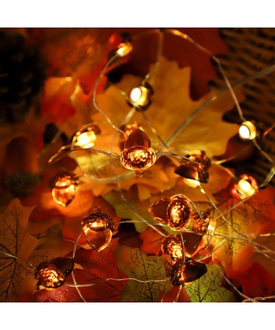 13.12 Feet 40 Acorn String Lights Waterproof- with 8 Flash Modes- Remote and Timer- for Thanksgiving- Christmas- Wedding- Bir...