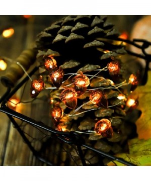 13.12 Feet 40 Acorn String Lights Waterproof- with 8 Flash Modes- Remote and Timer- for Thanksgiving- Christmas- Wedding- Bir...