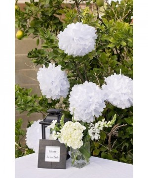 5pcs 10-Inch White Tissue Paper Pom Pom Flower Ball - White - CV12D5KLPMF $7.74 Tissue Pom Poms