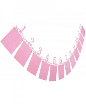 1st Birthday Bunting Garland Baby Photo Banner Baby 1-12 Month Pink Photo Prop Party Bunting Decoration - CD18G0XTR6Q $5.40 B...
