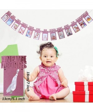 1st Birthday Girl Decorations Pink Party Supplies - Happy First Birthday Banner- Number 1- Photo Banner 0-12 Month- Birthday ...