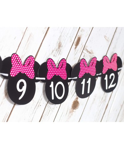Minnie Mouse 12 month photo Banner[Hot Pink] - Photo Birthday Banner - Minnie mouse birthday Banner - Minnie mouse party supp...
