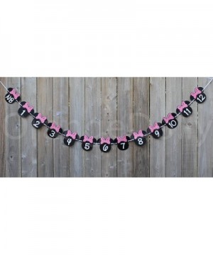 Minnie Mouse 12 month photo Banner[Hot Pink] - Photo Birthday Banner - Minnie mouse birthday Banner - Minnie mouse party supp...