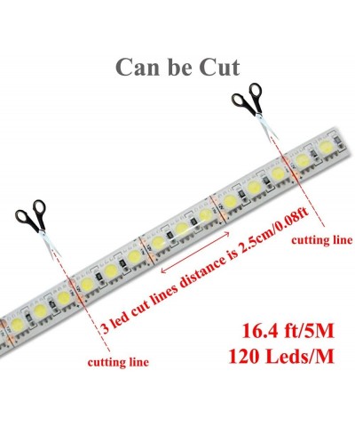 LED Strip Light- Blue- IP65 Waterproof- 12V DC- SMD 3528- 300 LEDs- 60Leds/M- 16.4 ft/5M Flexible LED Tape for Thanksgiving- ...