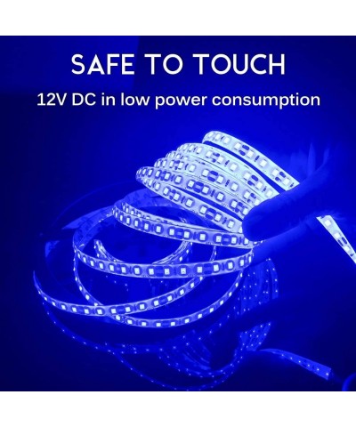 LED Strip Light- Blue- IP65 Waterproof- 12V DC- SMD 3528- 300 LEDs- 60Leds/M- 16.4 ft/5M Flexible LED Tape for Thanksgiving- ...