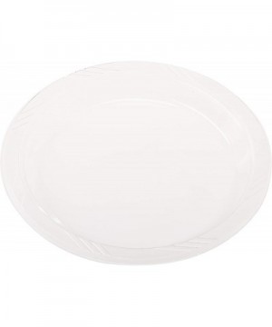 DB05223B Clear Plastic Dinner Plates 10.25 - CE128NVXDNZ $21.23 Tableware