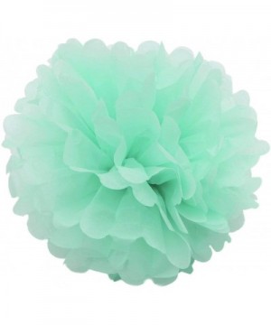 5pcs Tissue Paper Pom-poms Flower Ball Wedding Party Outdoor Decoration Wedding / Baby Shower / Birthday Party / Nursery Deco...