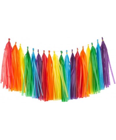 Rainbow Tissue Paper Tassels Colorful Party Tassel Garland Banner Decorations- DIY Kits-Pack of 30 - Rainbow - CL192TZNKZE $9...