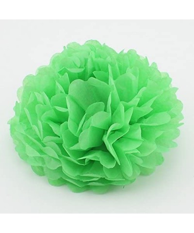 Since10 Pack 10 Inch Tissue Paper Flowers-Tissue Pom Poms Decor-Tissue Paper Pom Poms-Christmas Wedding Party Decor-Baby Show...