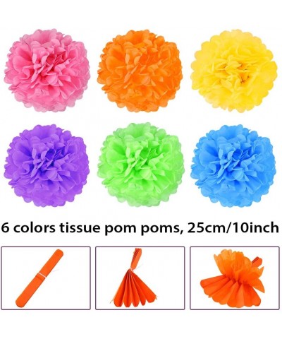 24 Pieces Fiesta Party Decorations Include Crepe Paper Streamers- Paper Fans- Pom Poms Flowers- Honeycomb balls and Circle Do...