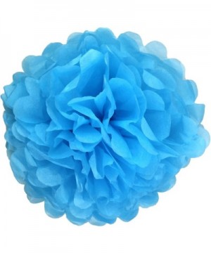 10pcs DIY Decorative Tissue Paper Pom-poms Flowers Ball Perfect for Party Wedding Home Outdoor Decoration (4-inch Diameter- B...