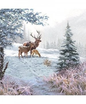 DEER FAMILY SNOW WINTER CHRISTMAS 13" x 13" 33CM X 33CM 20 X 3 PLY PAPER NAPKINS - CM1864ICWHN $12.77 Tableware