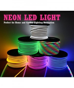 Neon Led Type AC 110-120V LED NEON Light Strip- Flexible/Waterproof/Dimmable/Multi-Colors/Multi-Modes LED Rope Light + 24 Key...