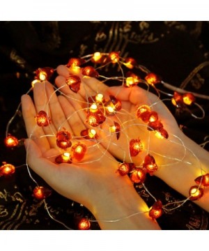 Fall Decorations- Acorn String Lights with 40 LED- Battery Operated Thanksgiving Lights for Outdoor Indoor Thanksgiving Decor...