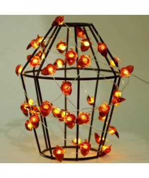 Fall Decorations- Acorn String Lights with 40 LED- Battery Operated Thanksgiving Lights for Outdoor Indoor Thanksgiving Decor...